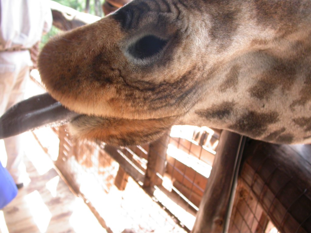 Uploaded image DSCN1362